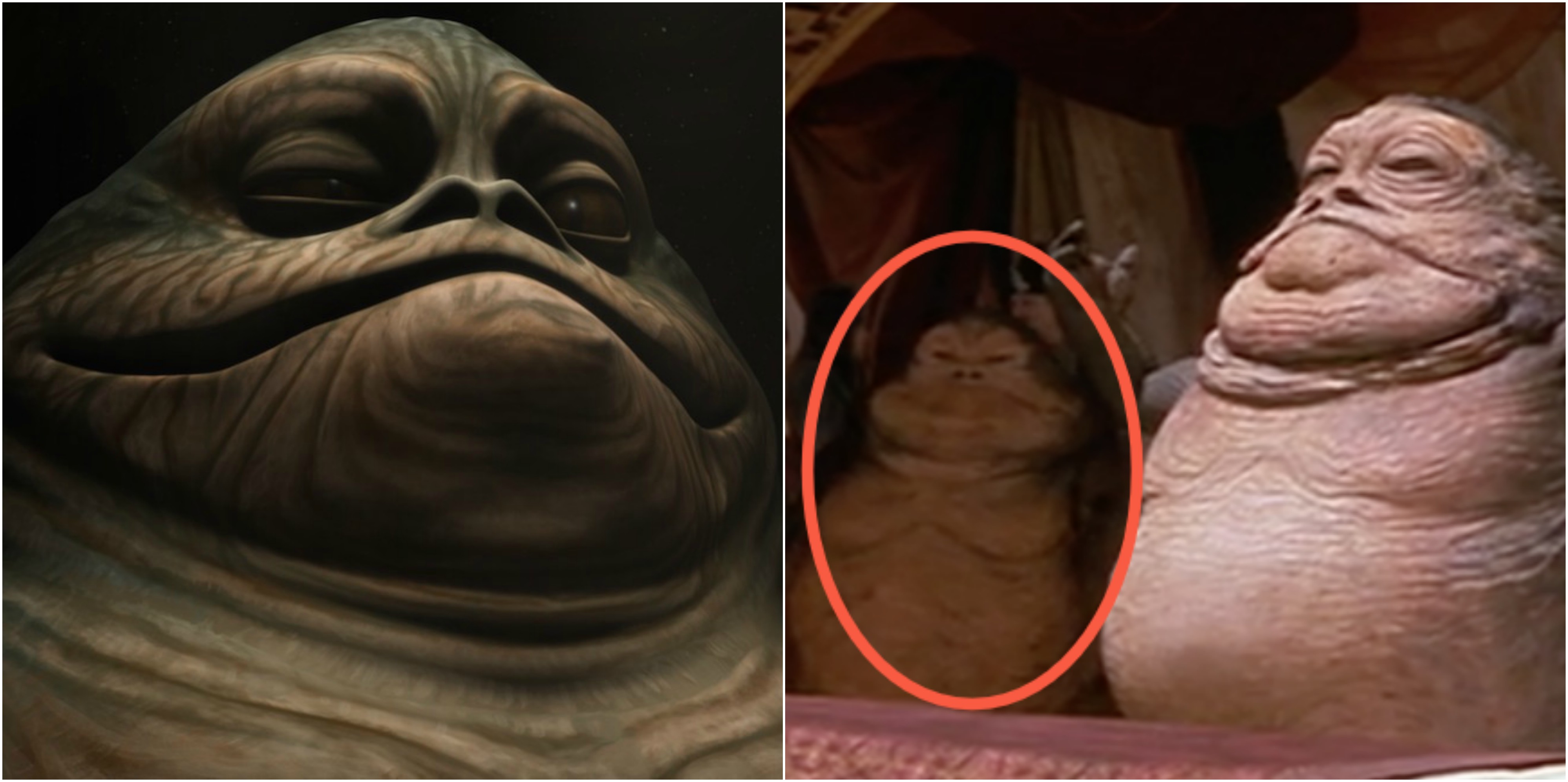 Gardulla the Hutt