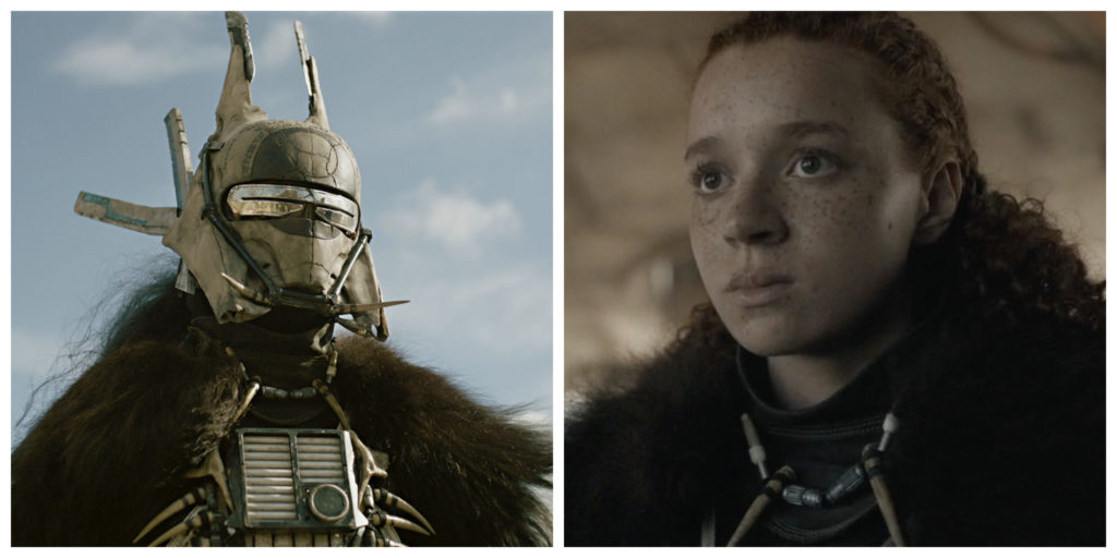 Enfys Nest