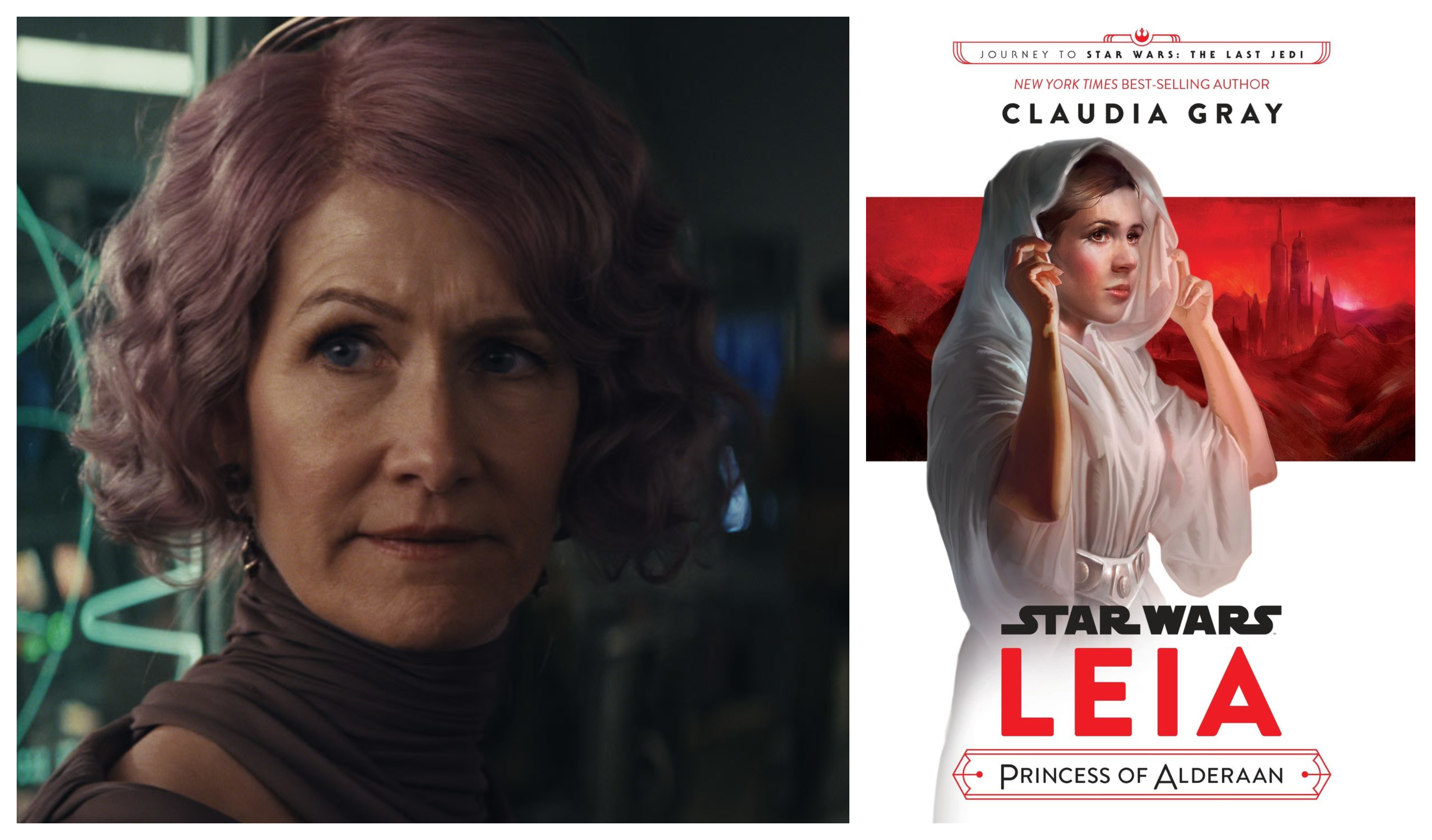 Journey to Star Wars: The Last Jedi Leia, Princess of Alderaan by